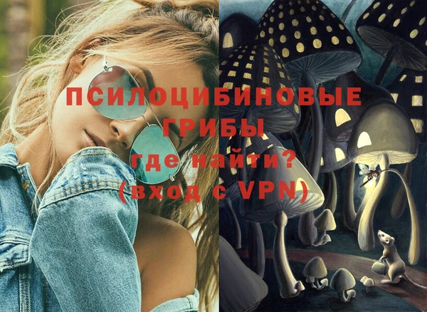 мяу мяу мука Горняк