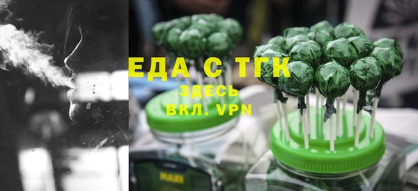 индика Володарск