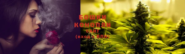 индика Володарск
