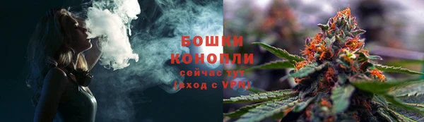 индика Володарск