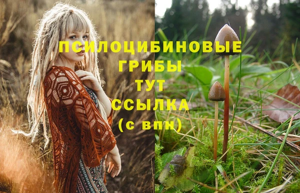 мяу мяу мука Богородицк