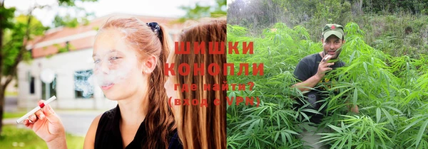 дурь Волосово