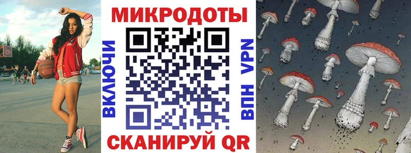 Галлюциногенные грибы Cubensis закладка Старица