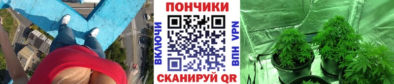 Бошки Шишки Ganja  Старица 